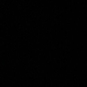 Meet your Posher, Lily